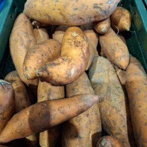 Zoete aardappel (500gr) BIO